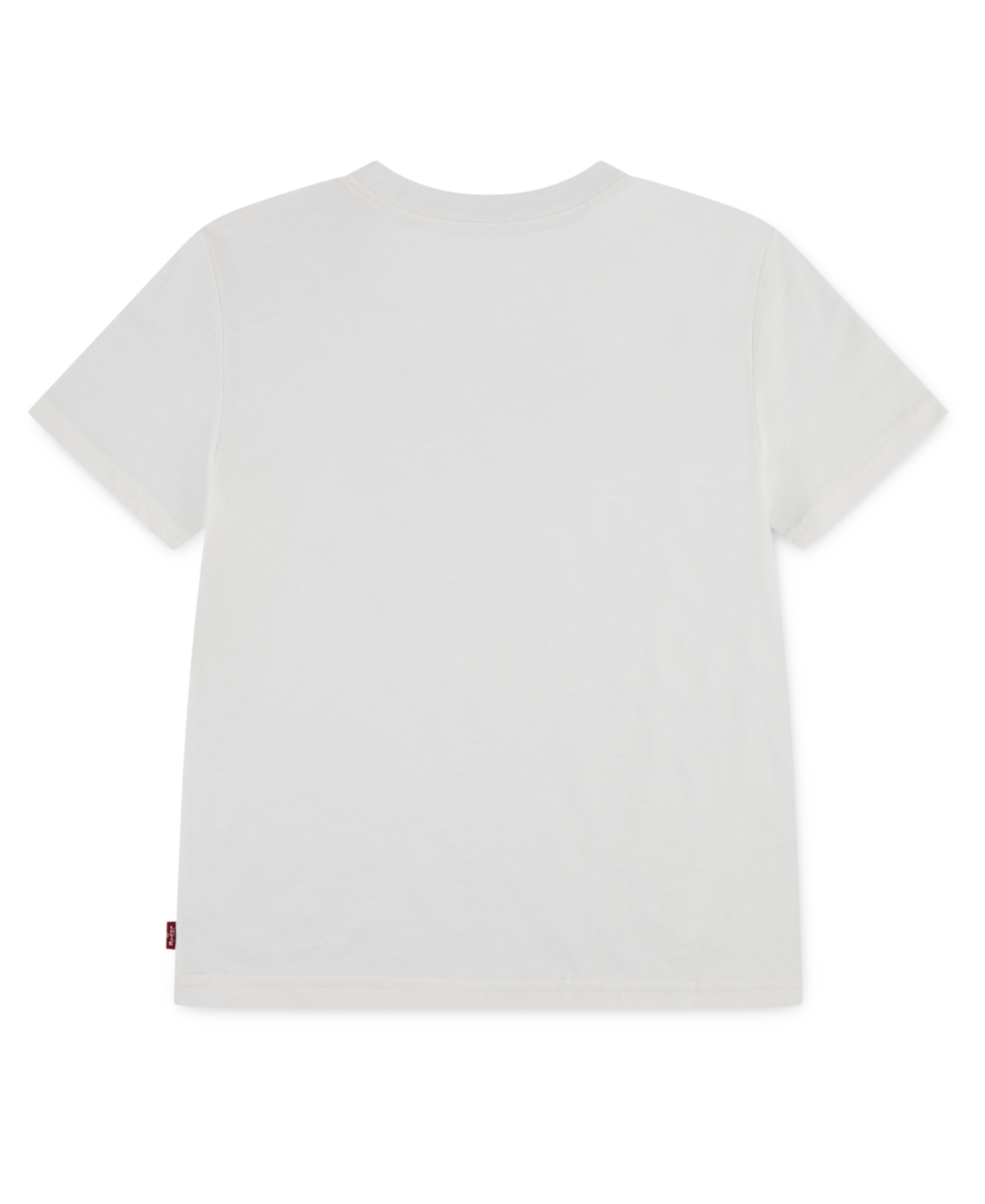 Levi's Big Boys Scenic Bear Short Sleeve T-shirt In White