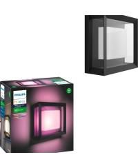 Hue White and Color Ambiance Econic Outdoor Wall and Ceiling Light