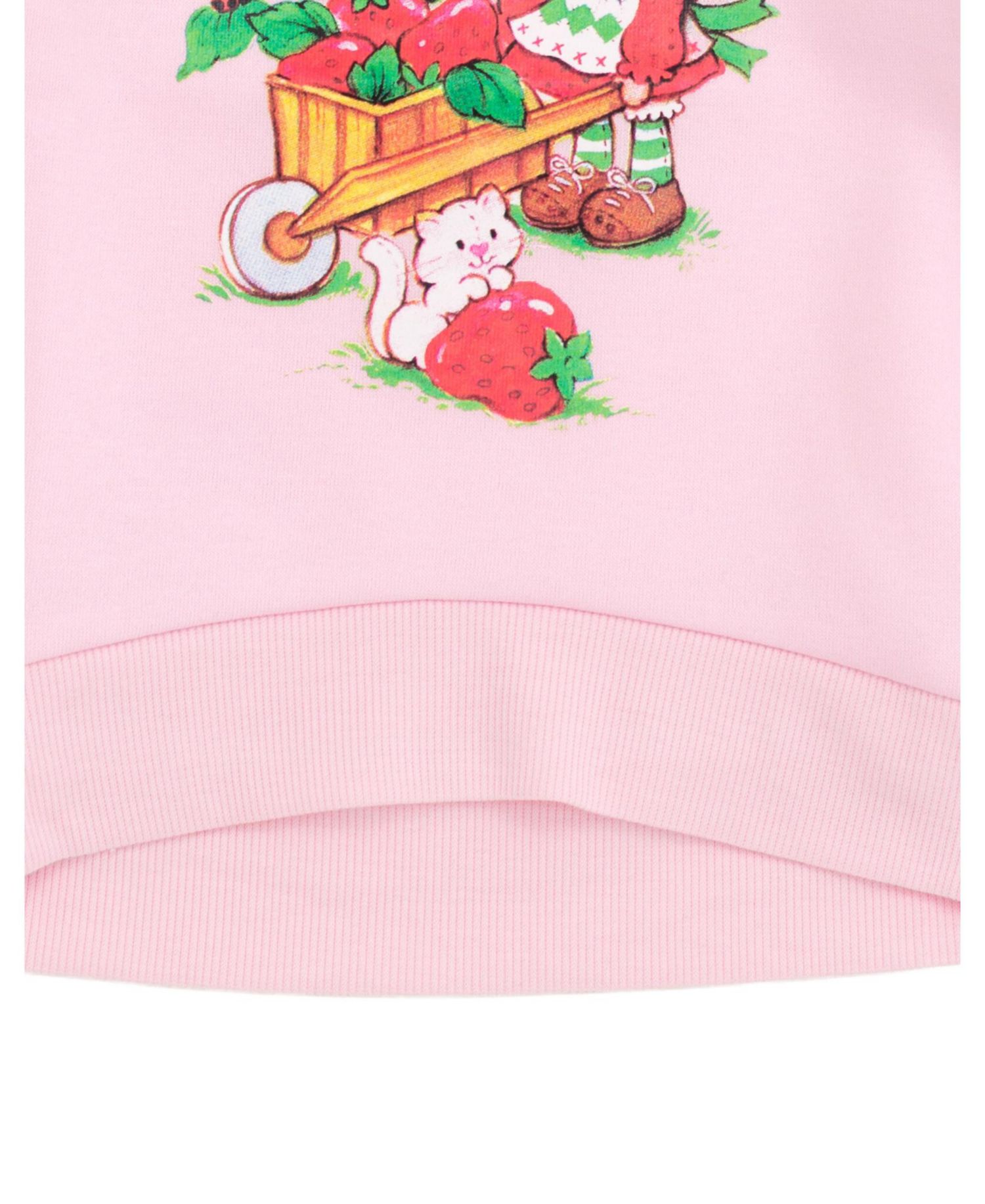 Fleece Pullover Sweatshirt with Faux Fur Sleeves
