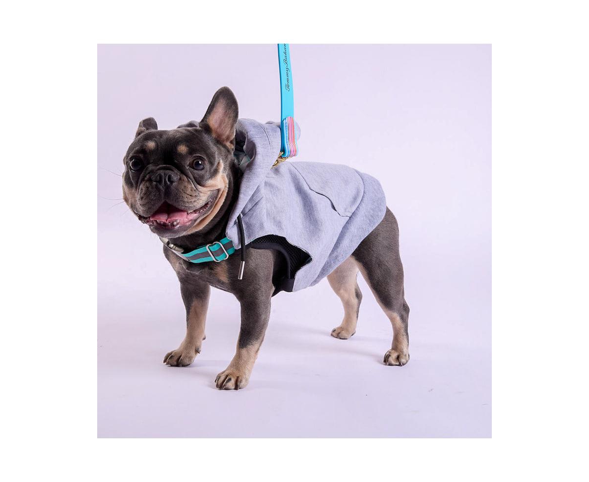 K9 Wear Starter Kit with Grey Hoodie