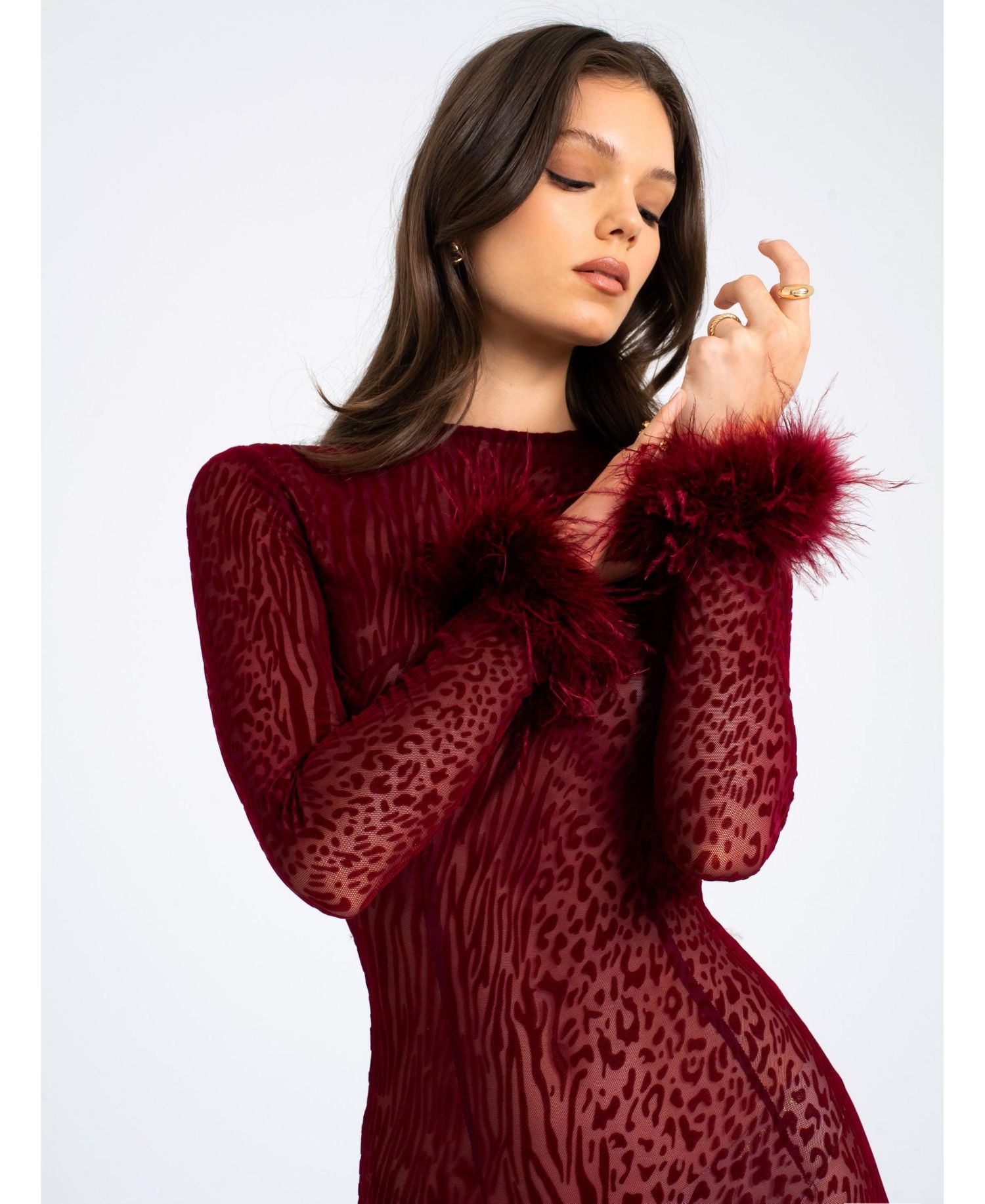 Women's Patricia Burgundy Leopard Burnout Velvet Mesh Backless Maxi Dress