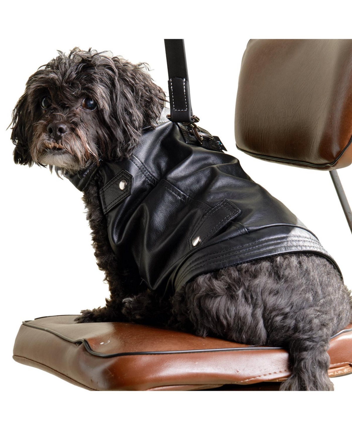 K9 Wear Starter Kit with Genuine Leather Jacket