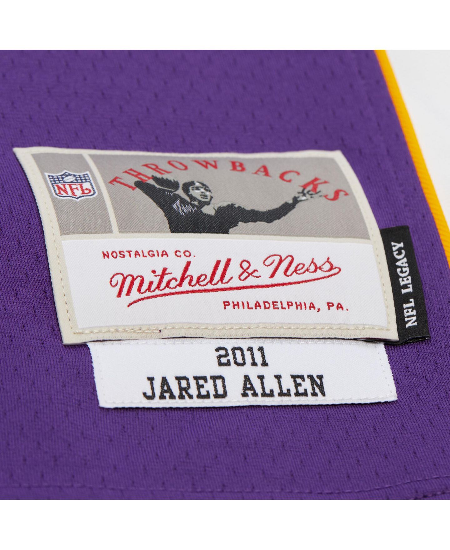 Мужское джерси-реплика Mitchell & Ness Jared Allen Minnesota Vikings 2011 Legacy, Purple — фото 3