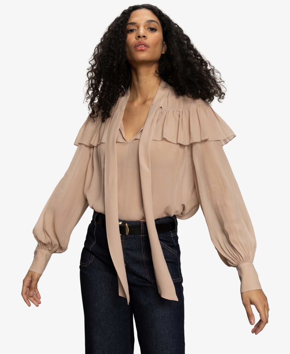 Sanctuary Fade Into You Ruffle Georgette Top In Brown
