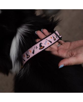 Witchy Dog Collar