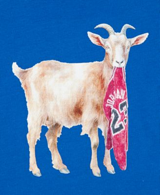 Toddler and Little Boys' Flight Goat Print T-Shirt