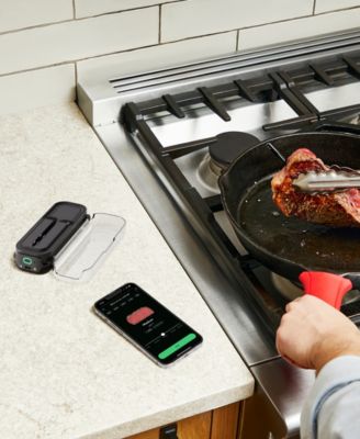 IQ Sense Smart Thermometer