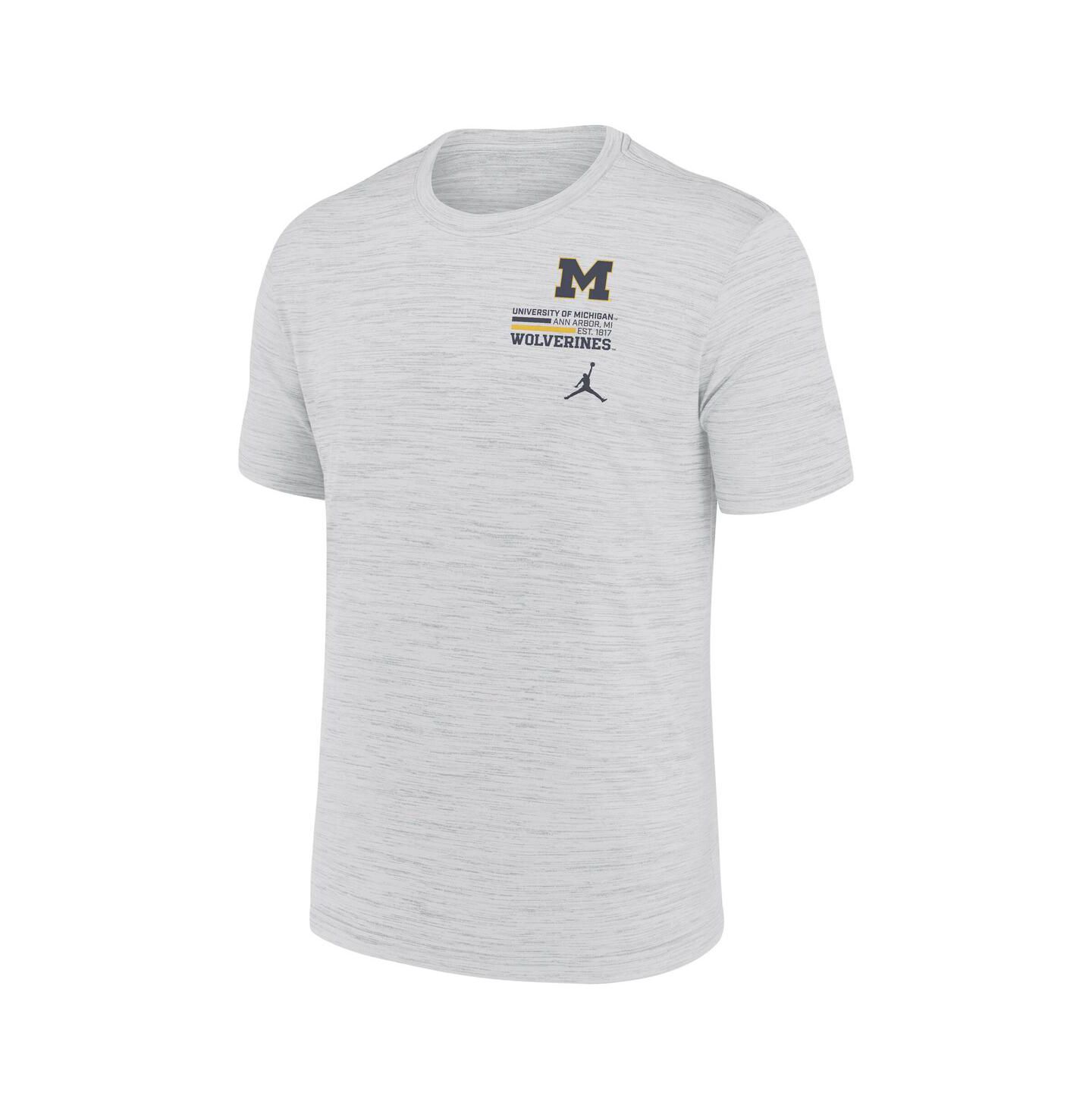 Мужская футболка Jordan White Michigan Wolverines Velocity Stacked Performance — фото 2