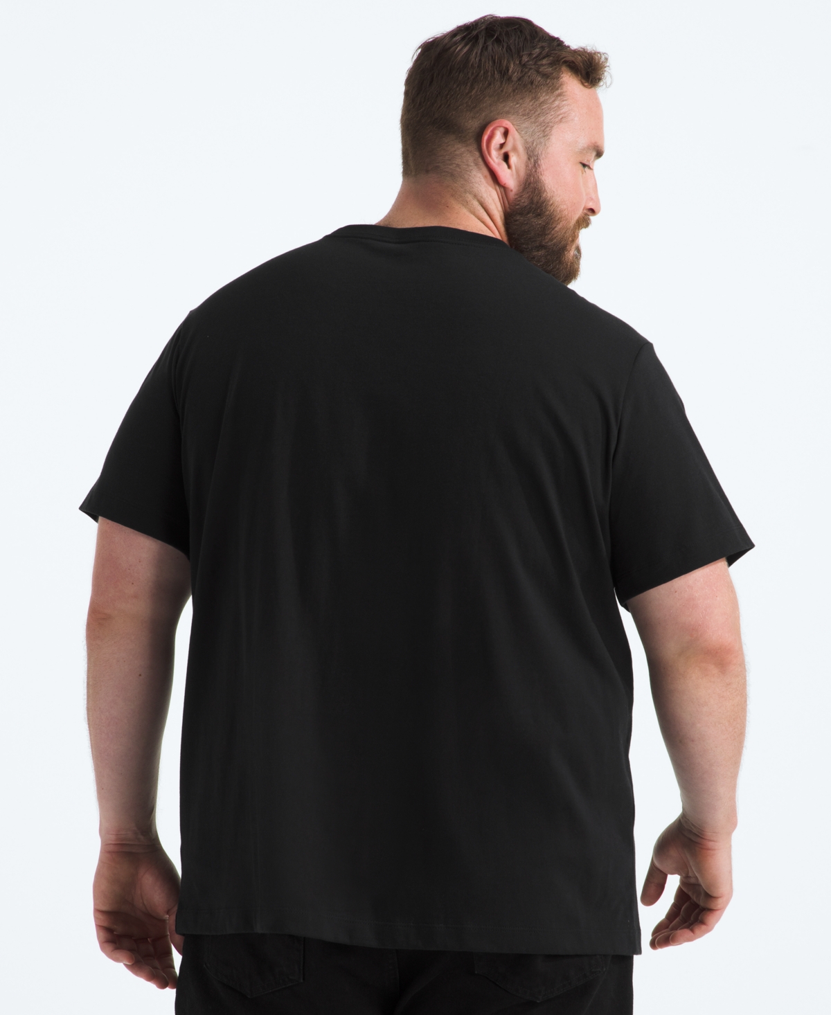 The North Face Men's Big Evolution Simple Dome Short Sleeve T-shirt In Black