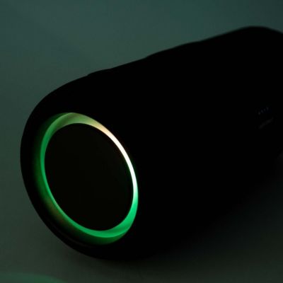 Portable Bluetooth Speaker 14W IPX6 in Rugged Style with RGB Lights FM Radio and TWS for Pairing Black
