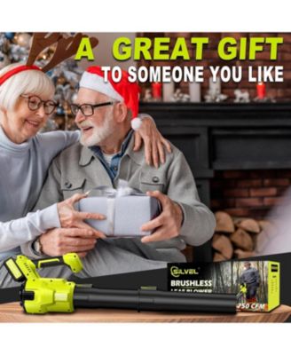 Cordless Leaf Blower, 550CFM (160MPH) Brushless Turbo Blower, 24V High Power Battery Powered Leaf Blowers with 2x4.0Ah Battery & Charger, Electric Blowers Variable Speeds for Garden, Green