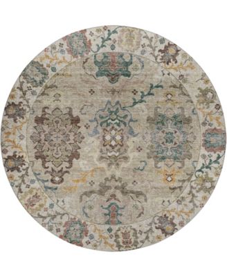 Dalyn - Silk Road SR5 8'x8' Round Area Rug