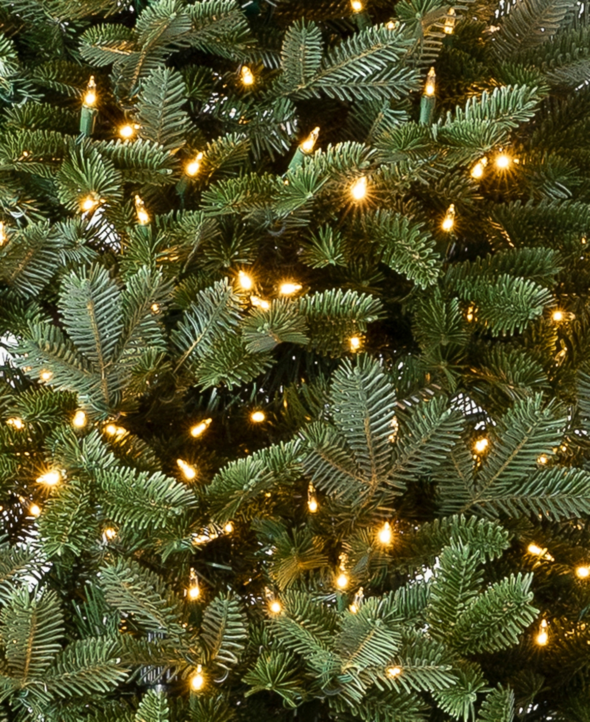 Balsam Hill 6.5' Pre-lit Fraser Fir Ledc Artificial Christmas Tree In Green