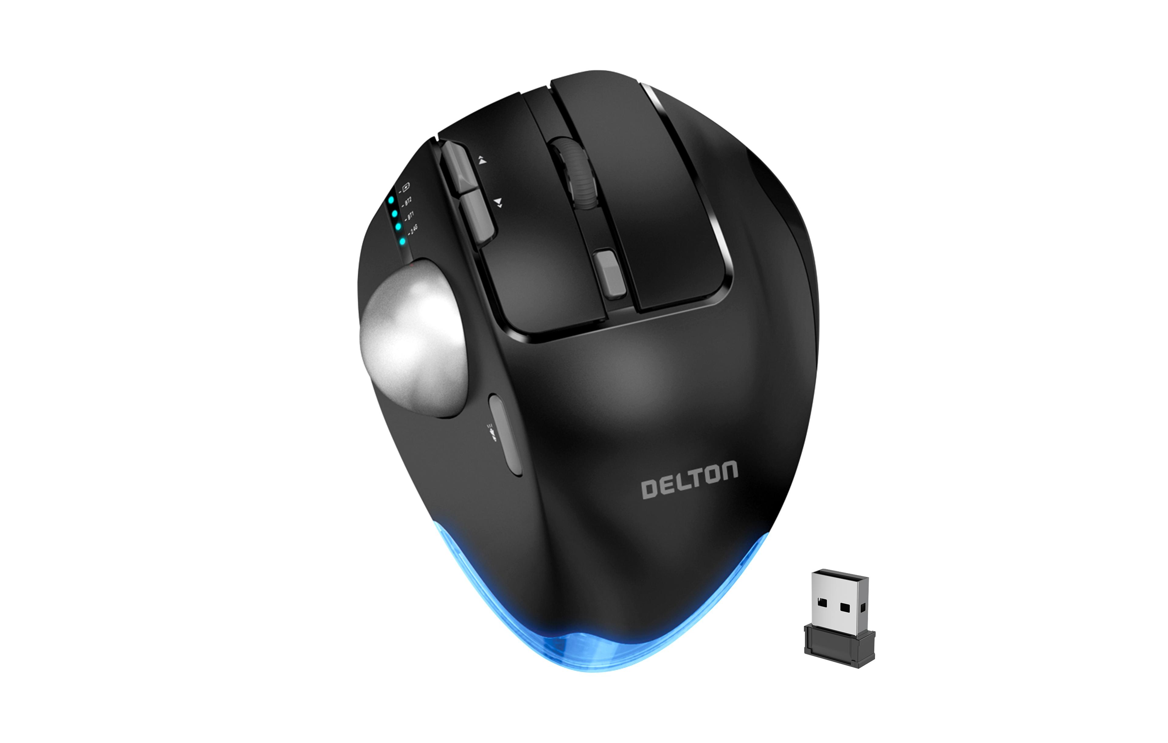 Delton T100 Ergonomic Tilt Wireless Trackball Computer Mouse