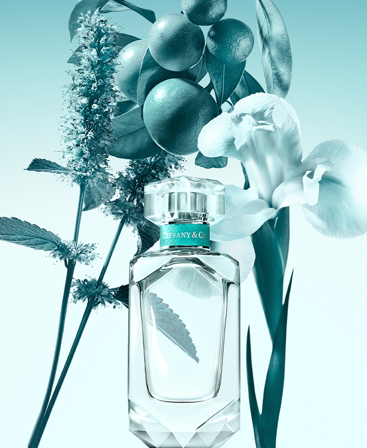 Tiffany & Co 3-pc. Eau De Parfum Holiday Gift Set In Transparent