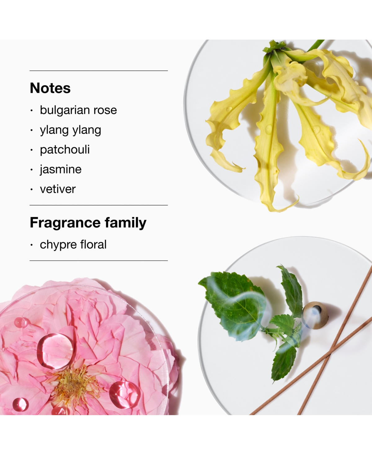 Clinique Aromatics Elixir Riches Signature Perfume Gift Set In Transparent