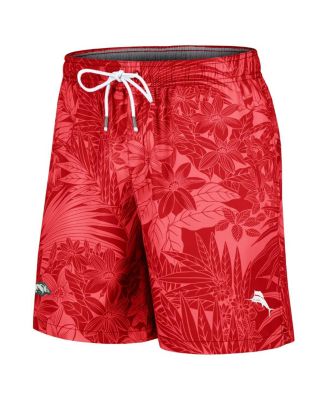 Men's Cardinal Arkansas Razorbacks Santiago Palms Board Shorts
