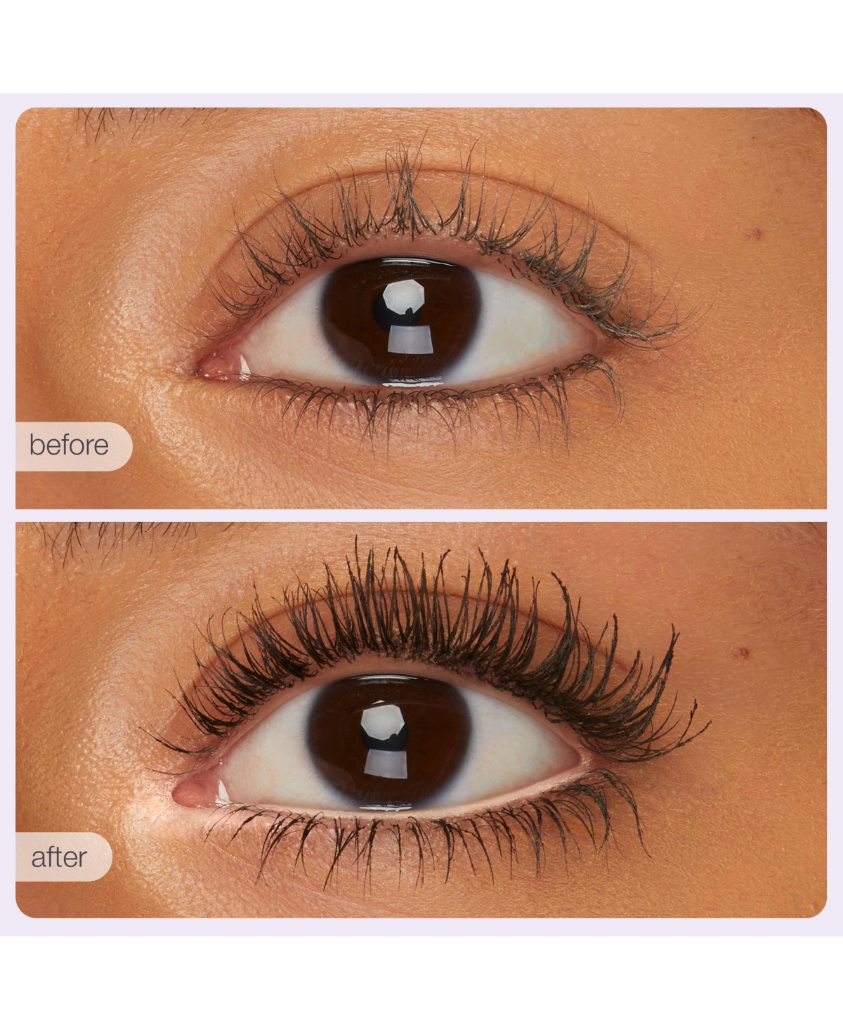 Tarte 4-pc. Lette Tubing Must-haves Set In Transparent