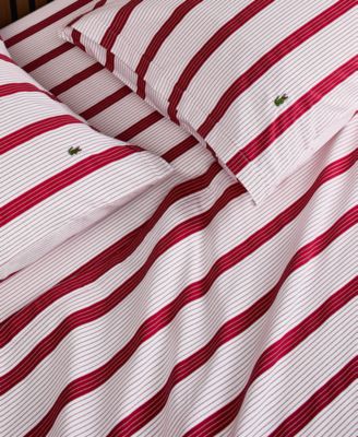 Printed Cotton Percale 4-Pc. Sheet Set, Full