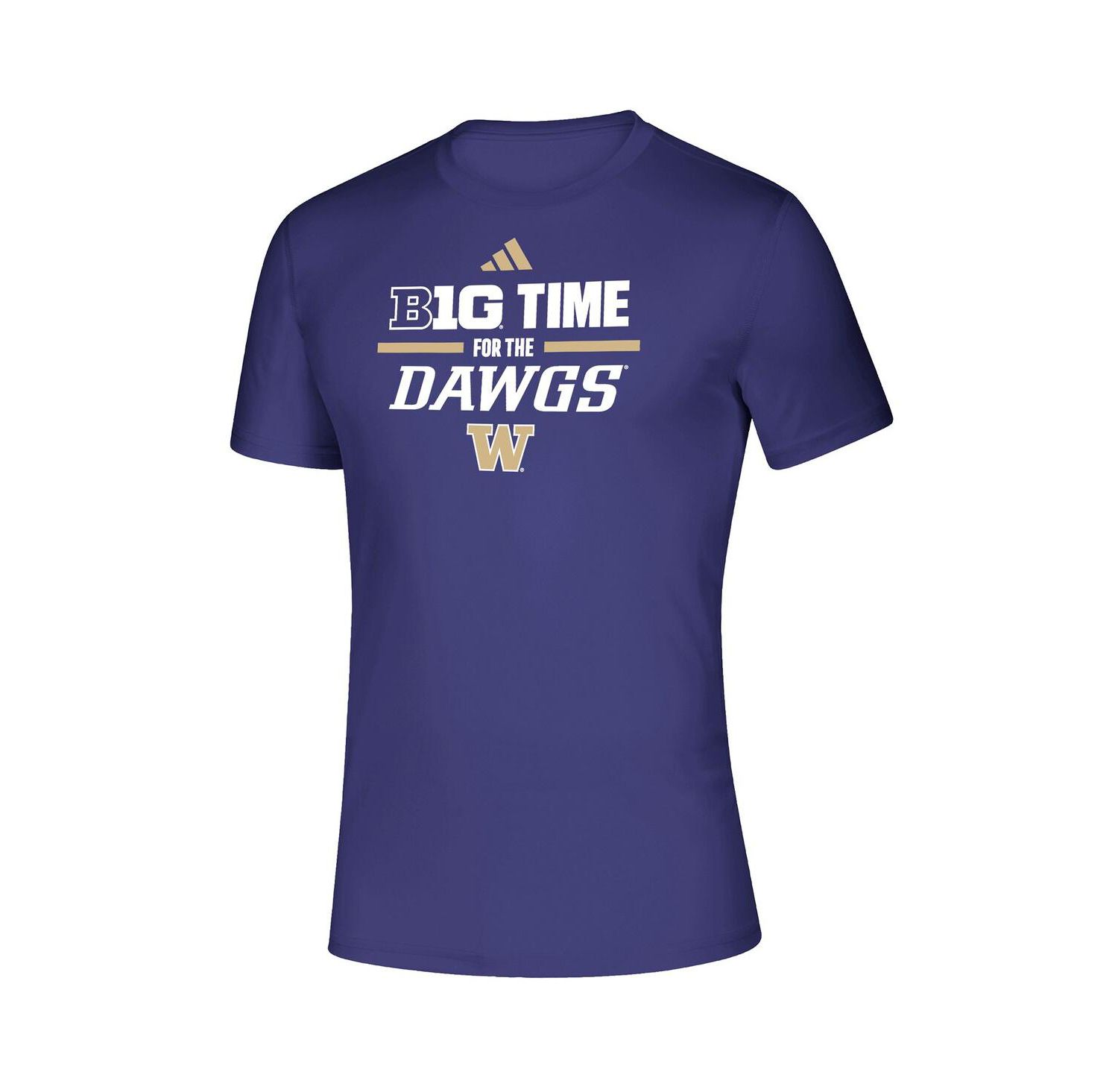 Men's Purple Washington Huskies B1G Time for the Dawgs T-Shirt