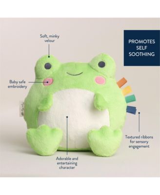 Baby Sweetie Snuggles Frog