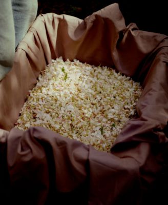 Gelsomino A Freddo Eau De Parfum Spray, 1.7 oz.