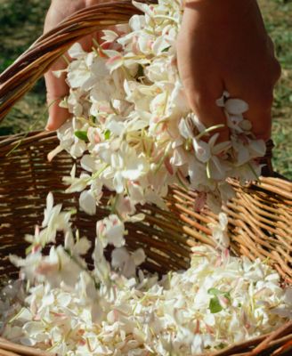 Gelsomino A Freddo Eau De Parfum Spray, 6 oz.