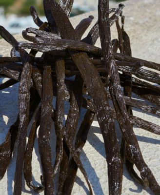 Devotion Eau De Parfum, 0.67 oz.