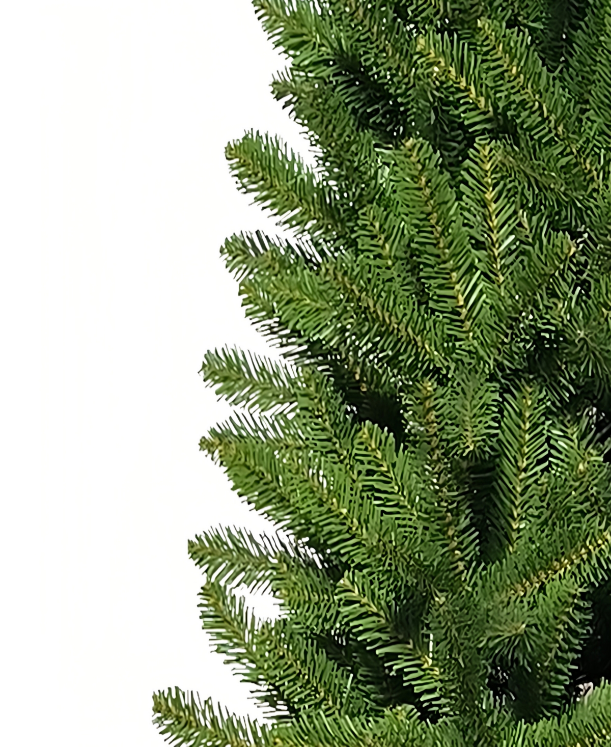 Puleo 7' Artificial Washington Fir Pencil Tree In Green