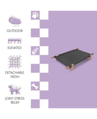 Chester Modern Minimalist Wood Frame Elevated Outdoor Dog Bed