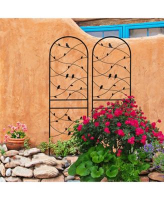 2 Pack 71" Metal Garden Trellis - Climbing Plant Support