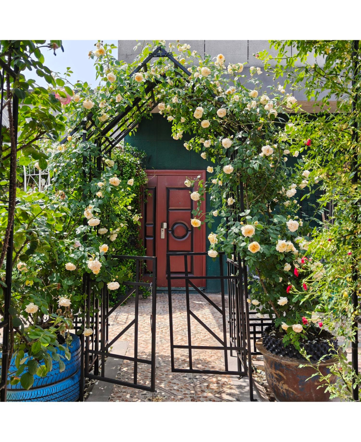 Streamdale Furniture Metal Garden Arch with Gate Black