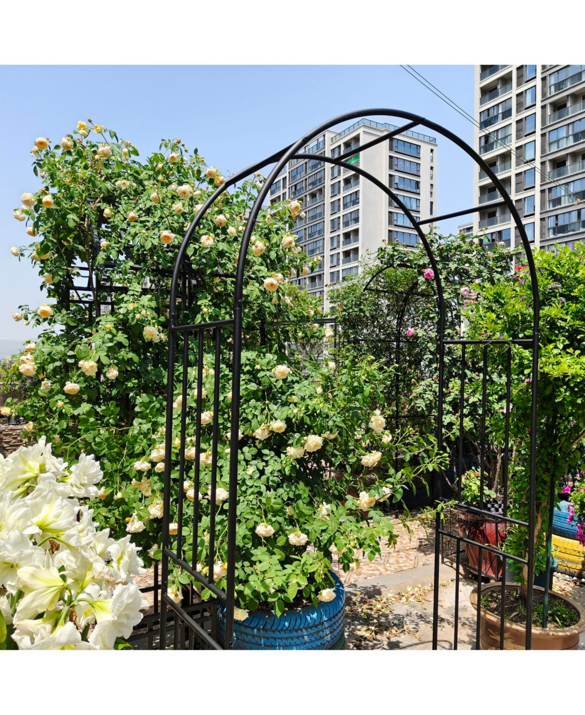 Streamdale Furniture Streamdale Metal Garden Arch, Climbing Plant Support, Outdoor Black