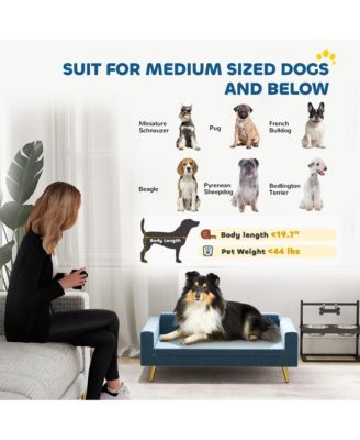 Pet Bed, Cat or Dog Sofa for Small to Medium Dogs w/ Cushion