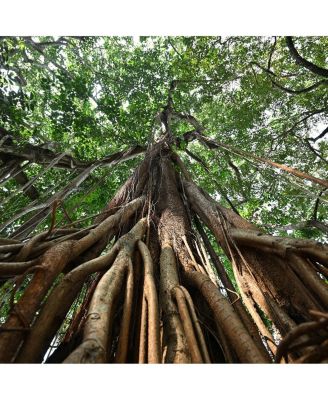 – 16-30mm f/2.8, Di III, VXD G2, for Sony E – Lens