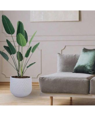 3-Piece Ceramic Flowerpot Set