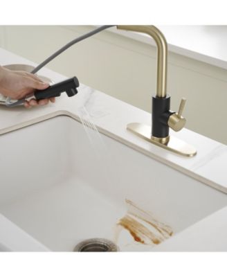 2 Sprayer Single Hole Single-Handle Pull Out Kitchen Faucet in Matte Black and Brushed Gold