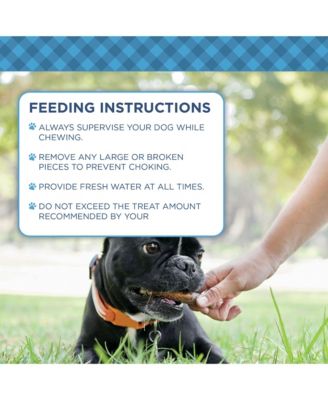 6” Bully Sticks for Dogs – Standard – 10 Count Bag – All-Natural