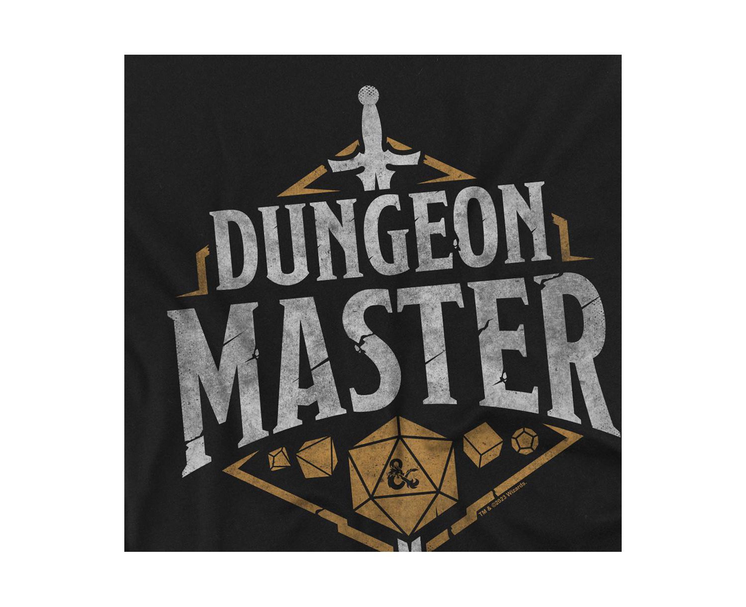 Men's Dungeons and Dragons Dungeon Master T Shirt