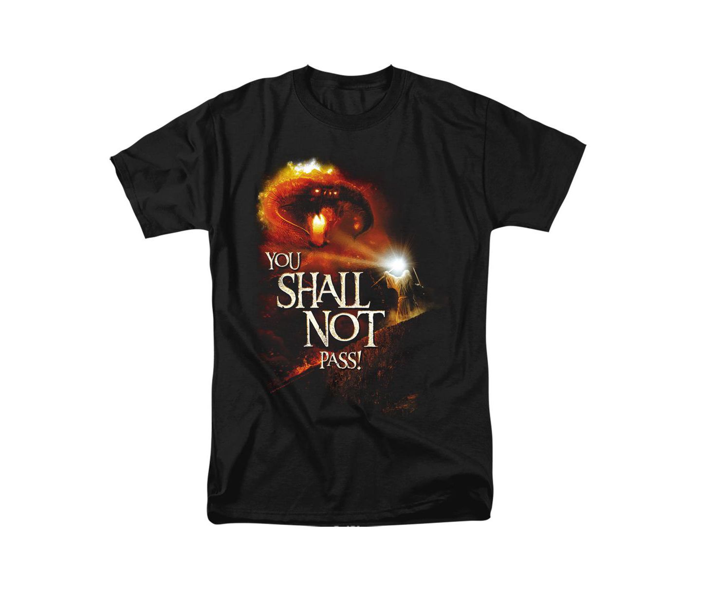 Мужская футболка Lord Of The Rings Big & Tall You Shall Not Pass, цвет: Чёрный — фото 1