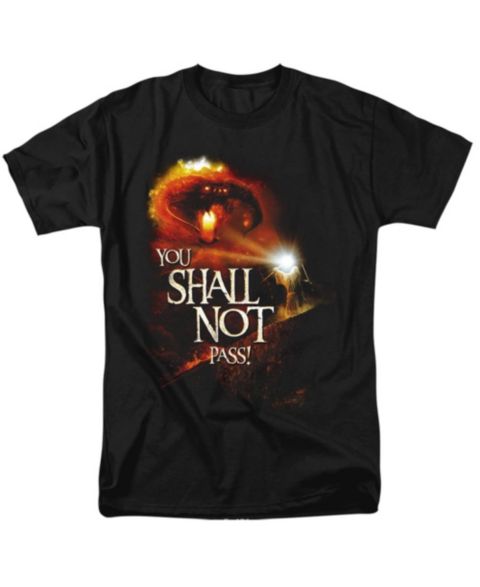 Мужская футболка Lord Of The Rings Big & Tall You Shall Not Pass, цвет: Чёрный