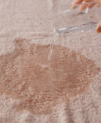 Ultra-Soft Cotton Absorbent 8-Pc. Towel Set