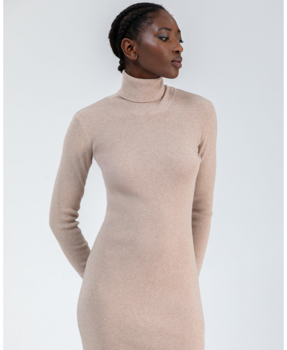 Pietro Brunelli Milano Women's Turtleneck Penelope Dress