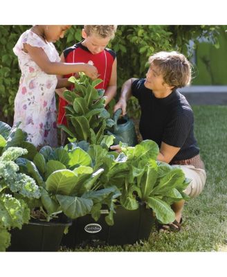 Ready to Grow Base Kit