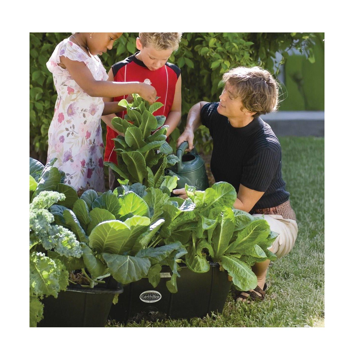 Детские игрушки EarthBox: Ready to Grow Base Kit, цвет: Чёрный — фото 2