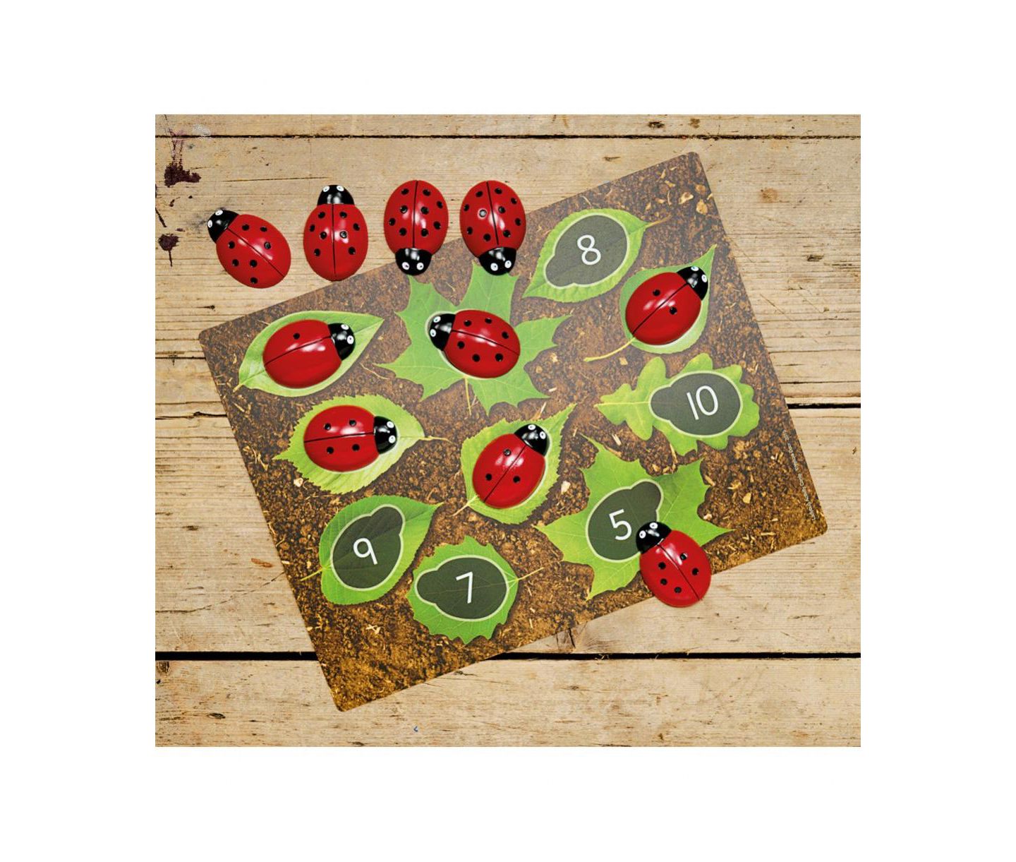 Детские игрушки Yellow Door Ladybug Stones and Detailed Activity Cards, цвет: Разноцветный — фото 1