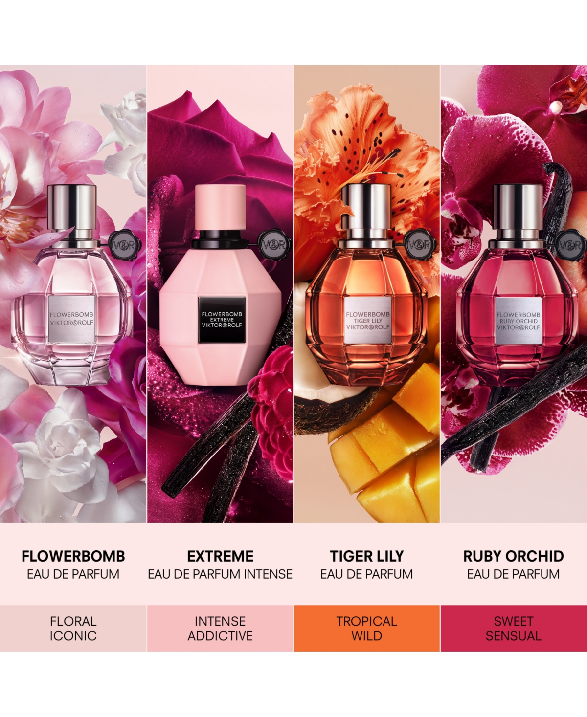 Viktor & Rolf 3-Pc. Flowerbomb Eau De Parfum Gift Set