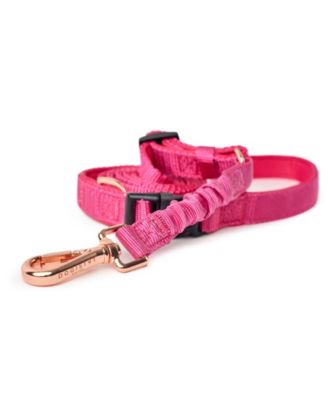 3-in-1 City Dog Leash