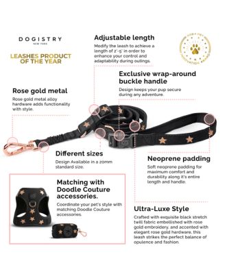 3-in-1 City Dog Leash