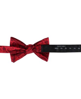 Men's Banbury Tone on Tone Paisley Silk Bow Tie